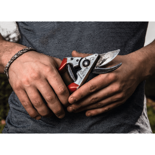 FELCO 8