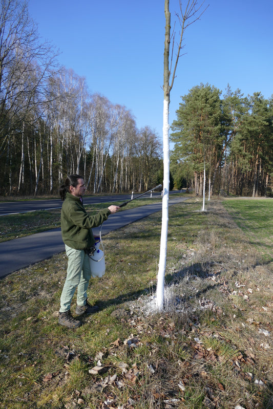Sunreflex 6kg Kanister Stammschutzfarbe (spritzfähig)