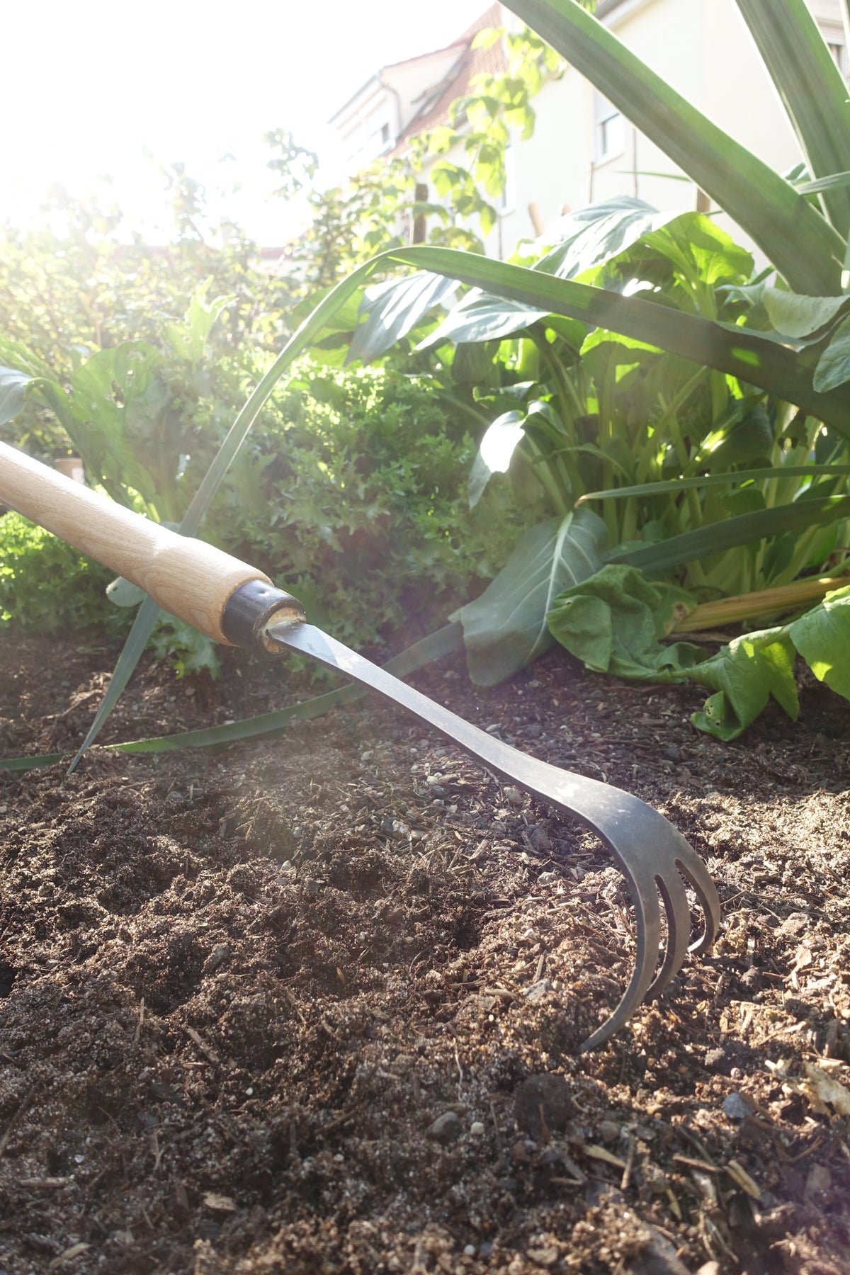 Krumpholz Bio-Cultivator 1420