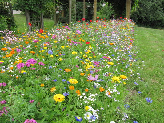 Power Flower