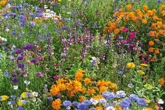Mini-Teppich Honigblumen