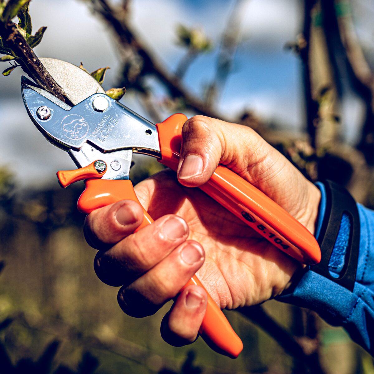 Löwe Amboss Gartenschere  5.104