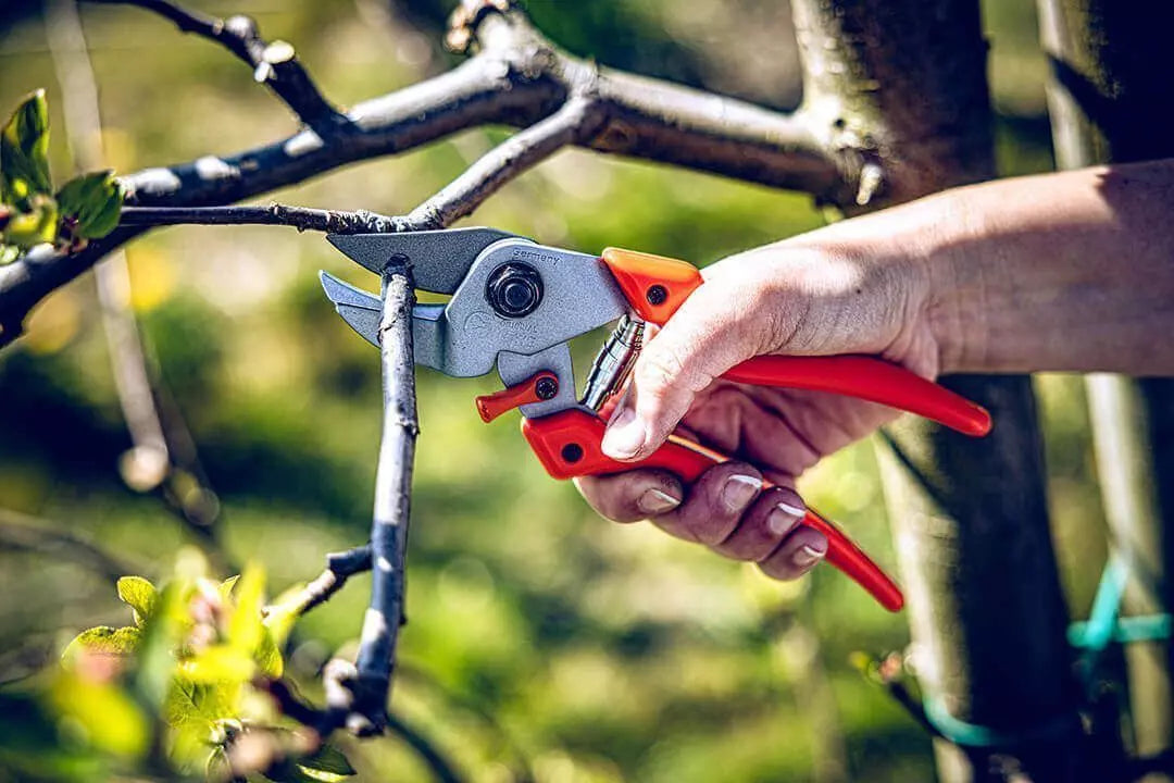 Löwe Amboss - Schere Easy Cut 7.107