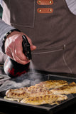 Grill Star 0.5 Handsprüher Birchmeier