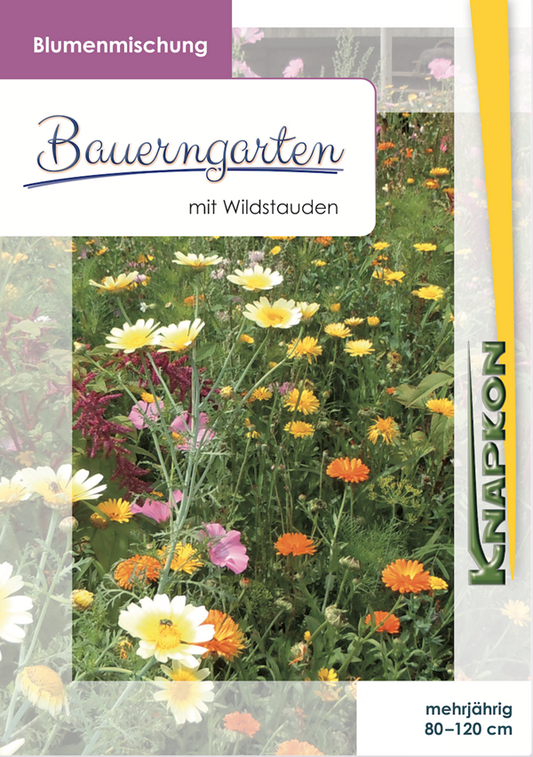 Bauerngarten mit Wildstaudenmischung