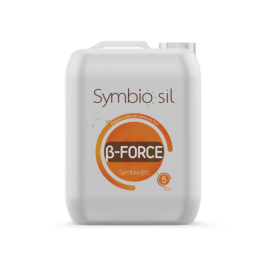 Symbiosil ß-Force Pflanzenstabilisator