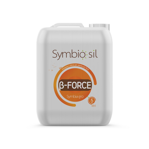 Symbiosil ß-Force Pflanzenstabilisator