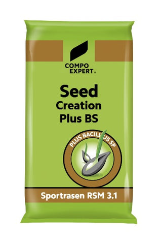 Seed Creation Plus BS RSM 3.1