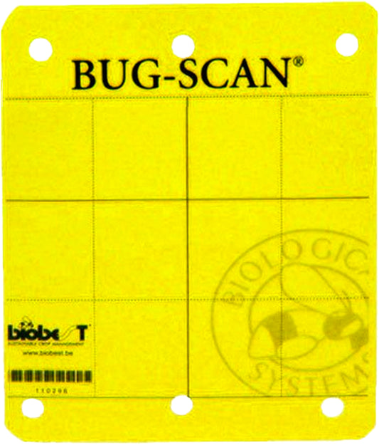 Leimtafel / Leimfalle - Bug-Scan Mini Yellow - 12.5cm x 10cm - BOX 100 Stück