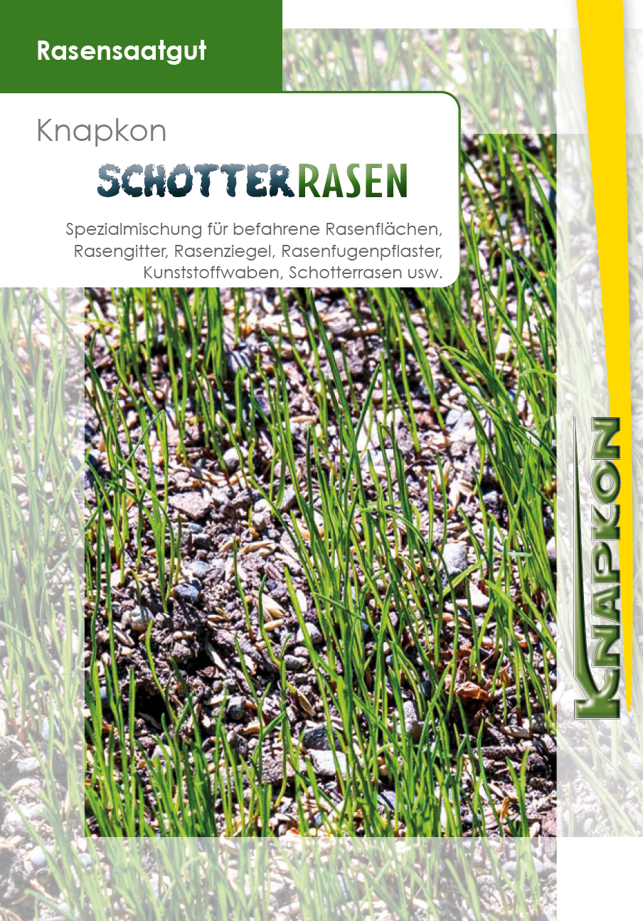sojabohnen saatgut bio BIO Saatgut Edamame Sojabohne Hokkai Green  Biogartenladen