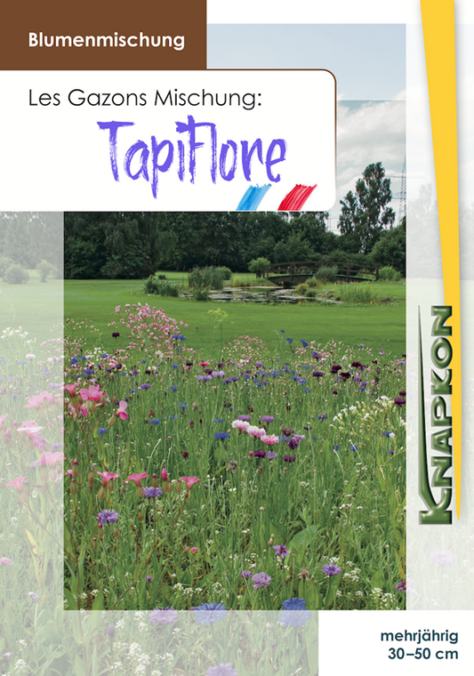 Tapiflore Wiesenglanz - mehrjährig