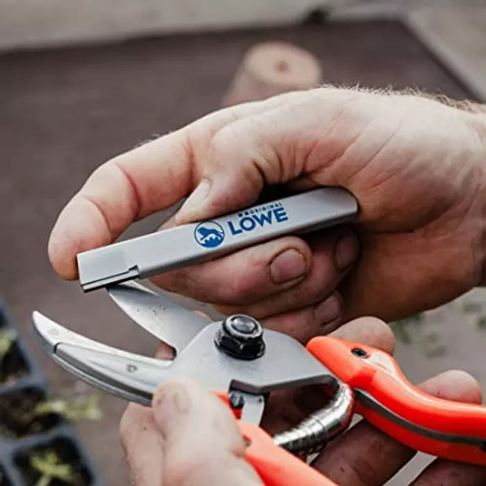 Löwe Klingenschärfer im Blister  0.021