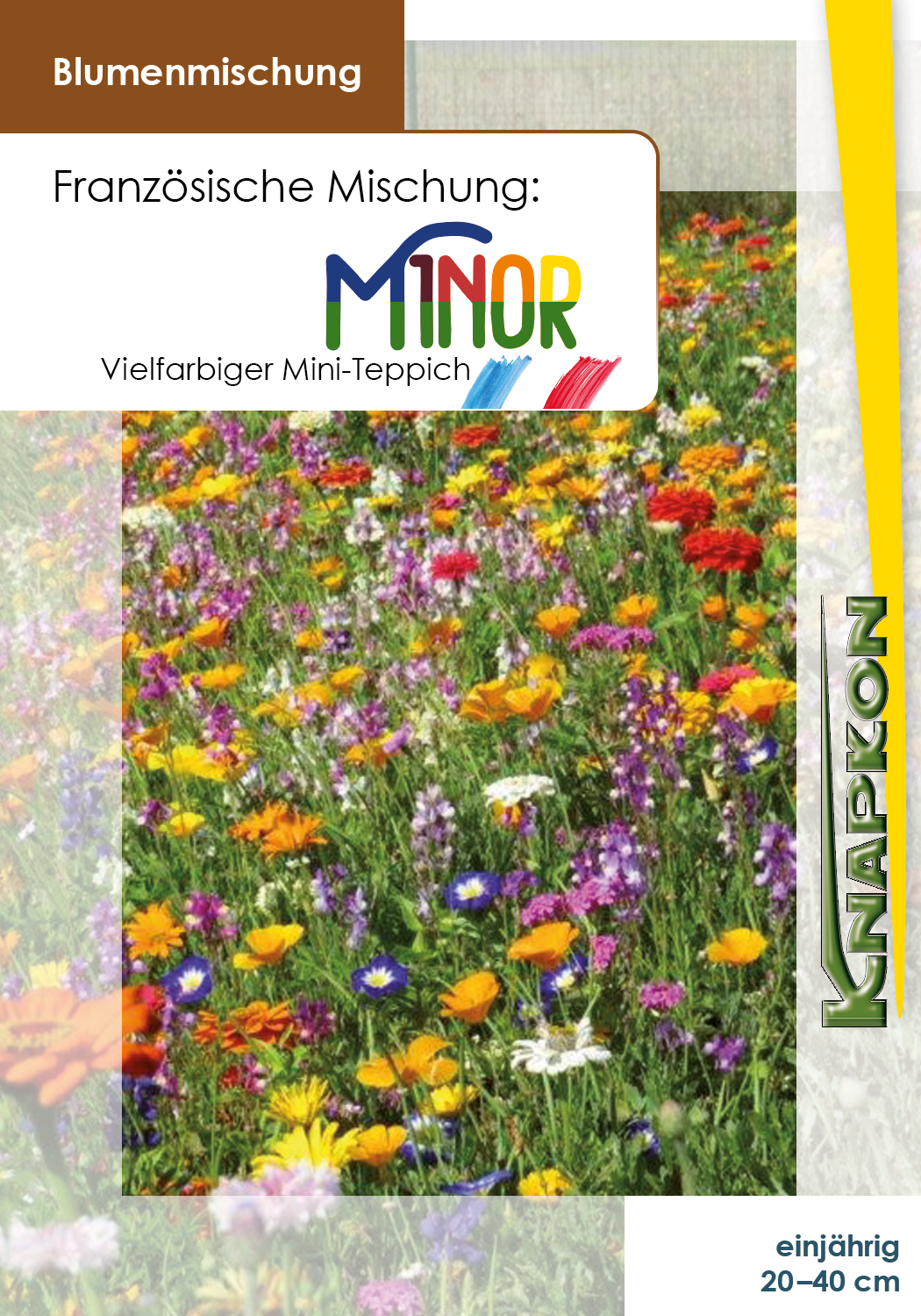 Minor, vielfarbiger Mini-Teppich