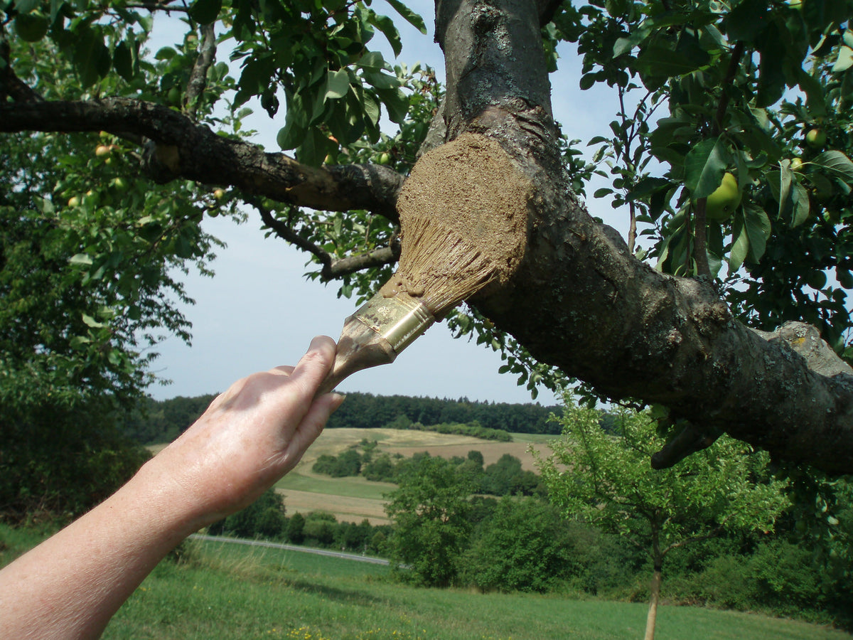 Baumschutzlehm Liebig Flüssig