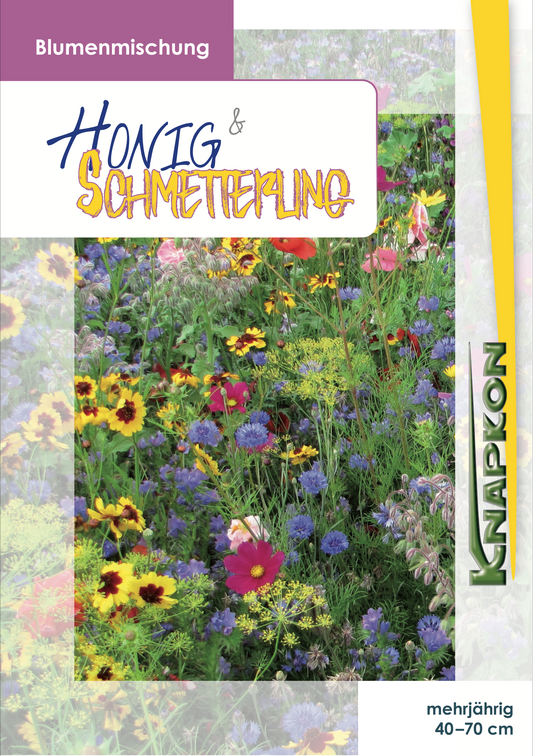 Honig & Schmetterling