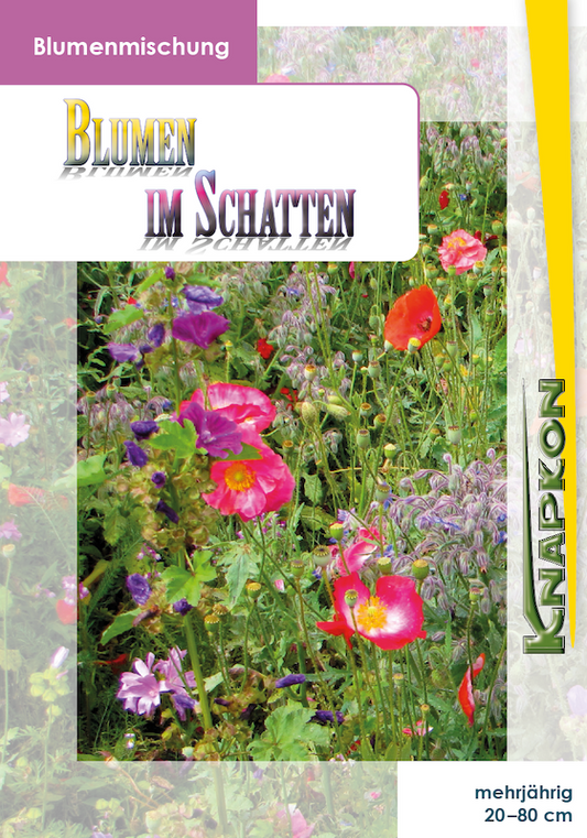 Blumen im Schatten