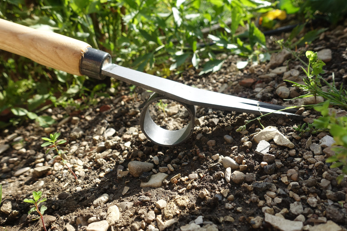 Krumpholz Unkrautstecher mit Hebel 1361