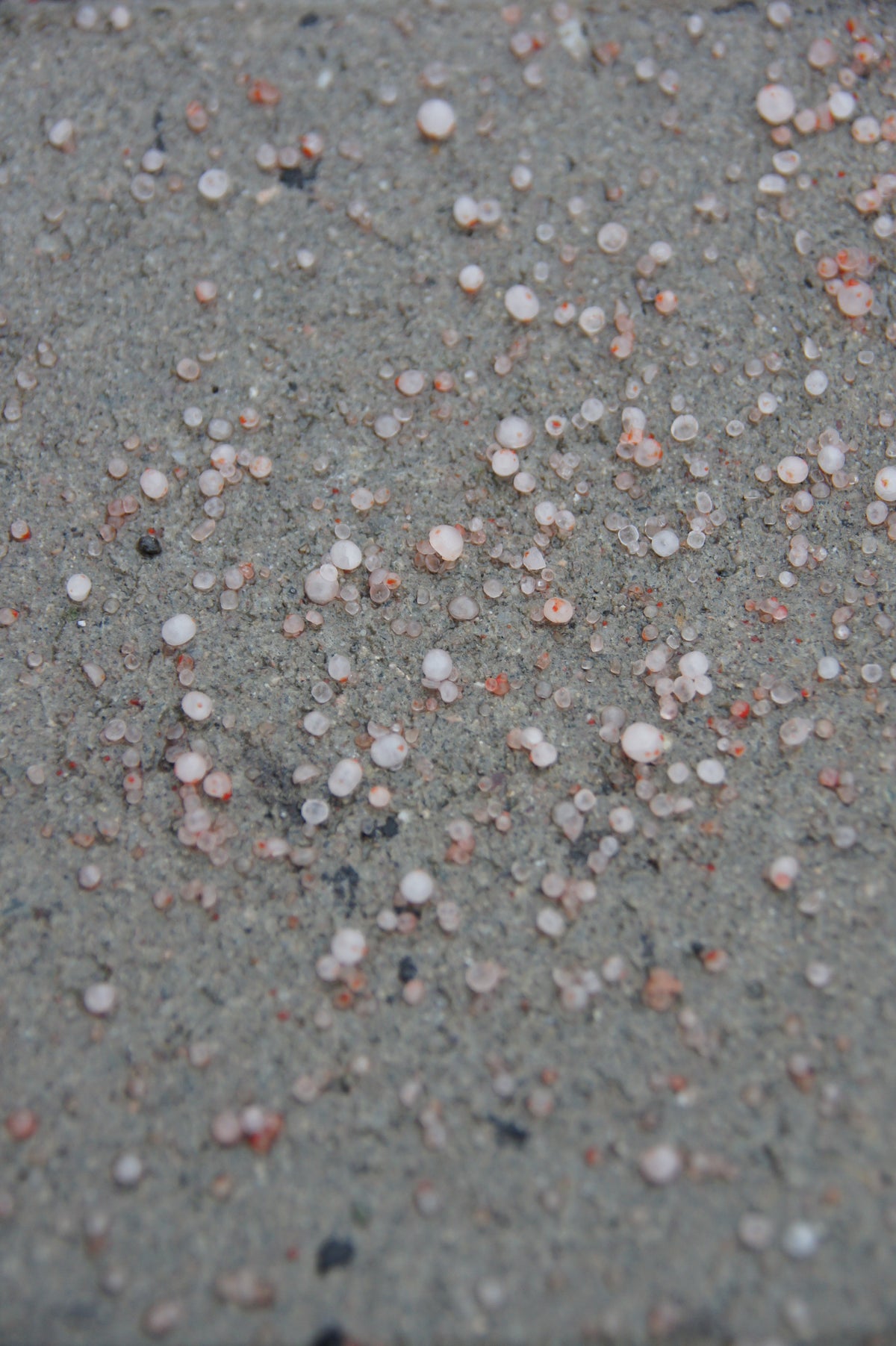 Eisfrei Perls Spezial Streumittel