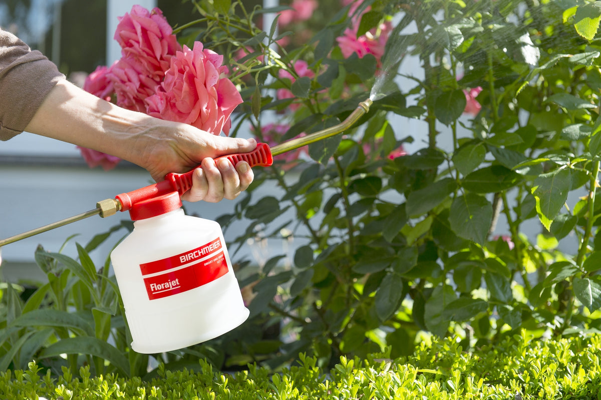 Birchmeier Florajet, Kolbensprüher für Rosen