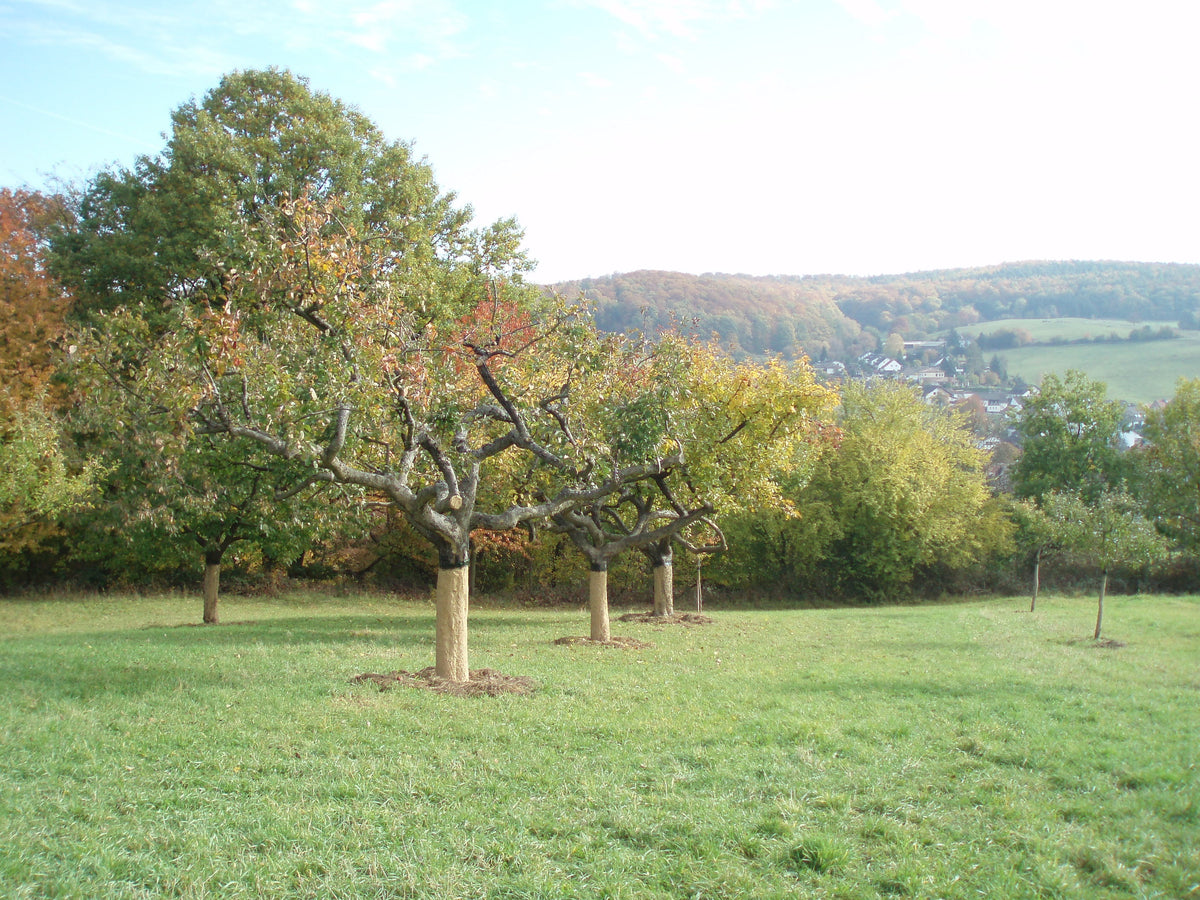 Baumschutzlehm Liebig Flüssig