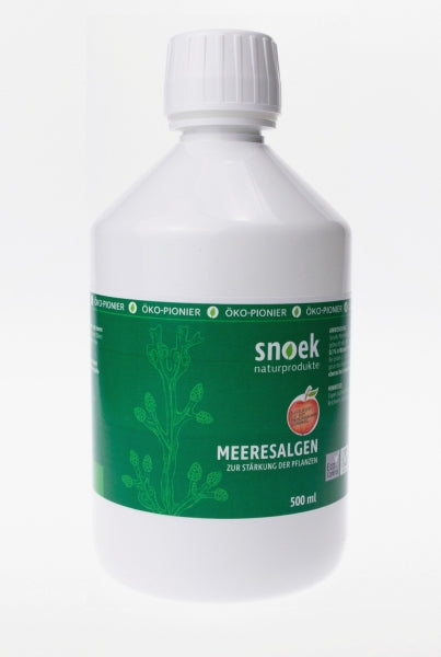 Snoeks Meeresalgen