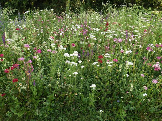 Veitshöchheimer "Farbenmix" (bunt)